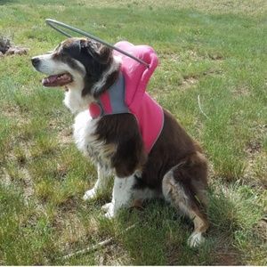 Muffin's Halo Size Large Pink